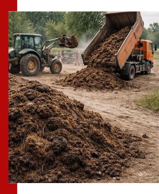 Доставка навоза самосвалами в Ревде для сельхозпотребностей